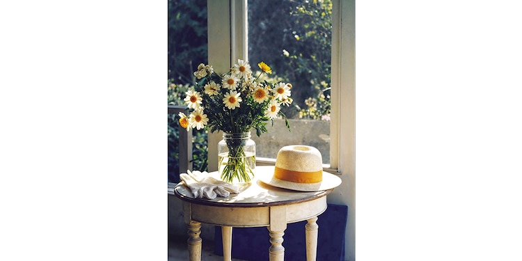 Las flores dan un toque de vida en
las estancias del hogar.