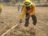 Talpan arranca operativo contra incendios forestales.