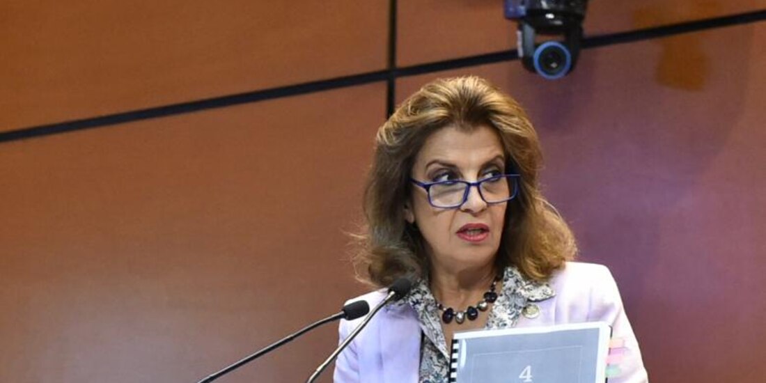 La diputada panista María Elena Pérez-Jaén, durante la comparecencia del secretario de la Función Pública, Roberto Salcedo.