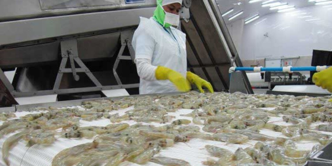 Ambas partes comenzarán los trabajos para preparar la revisión, coordinar las visitas de las autoridades de Estados Unidos a México y revisar ágilmente la situación de las embarcaciones comerciales.