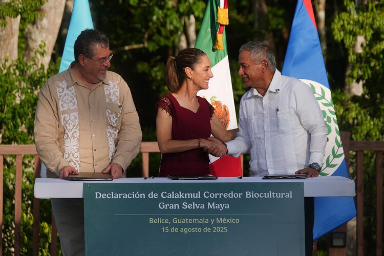 El acuerdo trinacional busca preservar especies emblemáticas como el jaguar, el tapir y el quetzal.