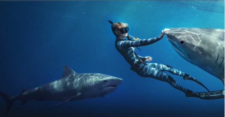 La encantadora de tiburones