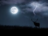 La Superluna del Ciervo será el mayor fenómeno astronómico de julio.