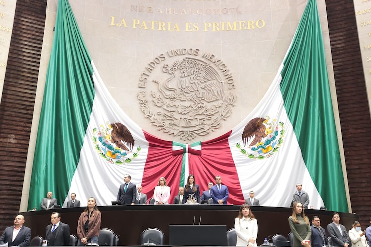 Pleno de la Cámara de Diputados