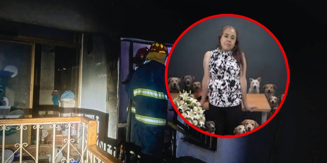 Los hechos ocurrieron en la comunidad de San Tadeo, donde vecinos auxiliaron a Elvia antes de su traslado de emergencia.