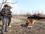 Binomios caninos buscan restos de soldados junto a un tanque en la región de Járkiv, ayer.