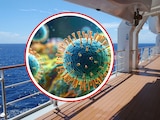 Avance del Hantavirus
