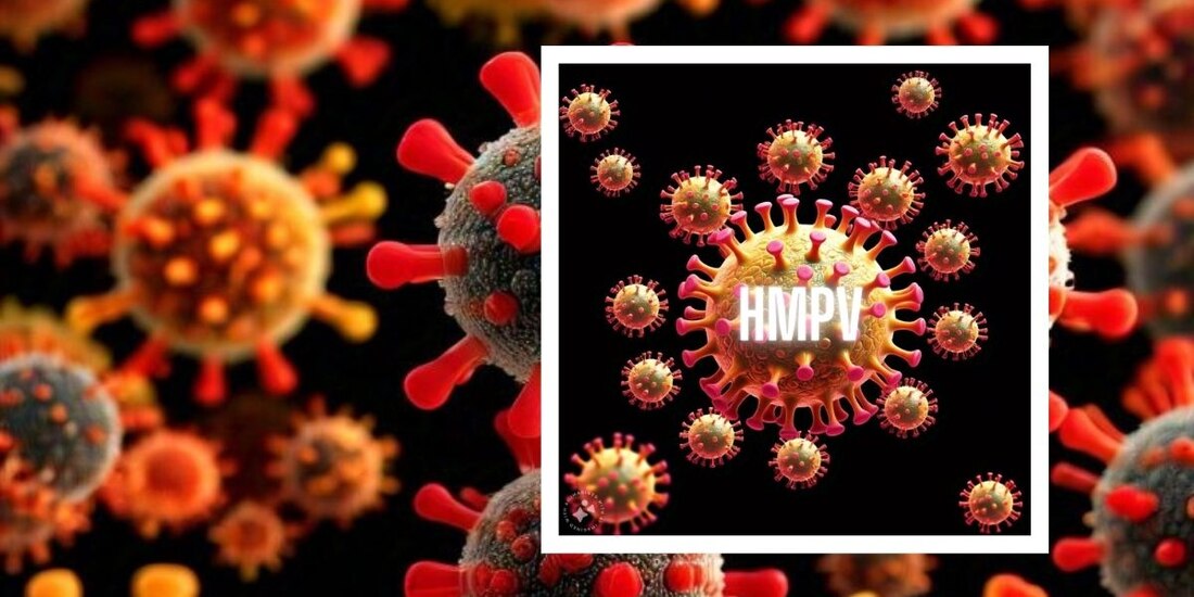 Esto sabemos del virus hMPV.