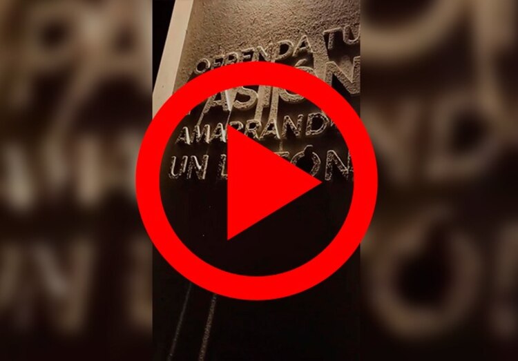 Así comienza experiencia inmersiva de fútbol "Vive Mi Selección".