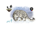 Leopardo