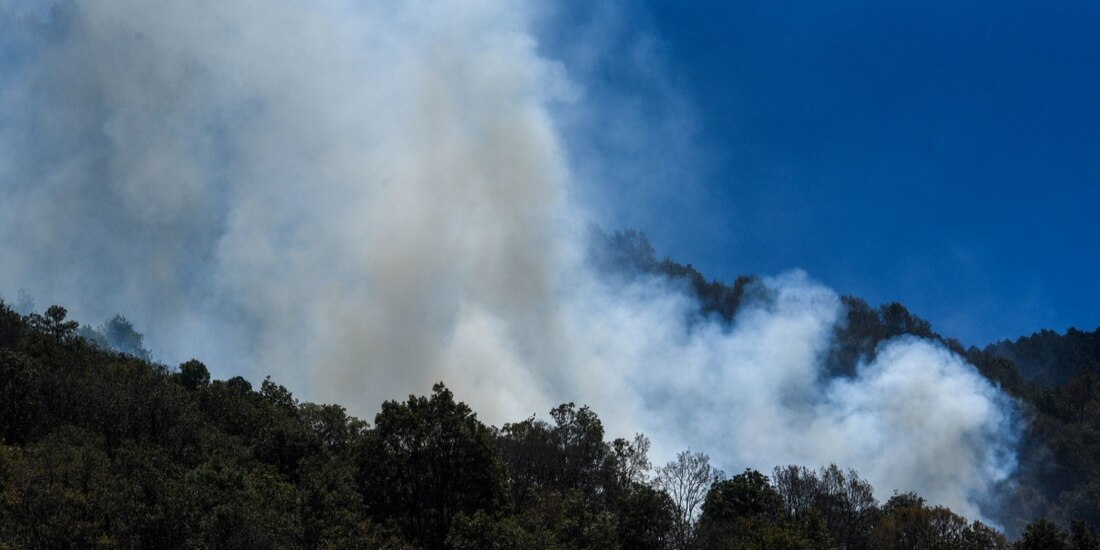 Probosque continúa la coordinación de los trabajos con apoyo de la Sedena y la Guardia Nacional