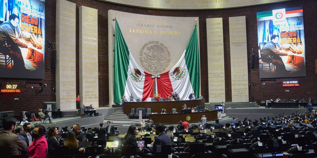 En el caso de desconocer las lenguas nacionales, los encargados del Registro Civil pedirán la traducción del nombre solicitado para evitar el uso de expresiones injuriosas, groserías, o cualquiera que se le parezca