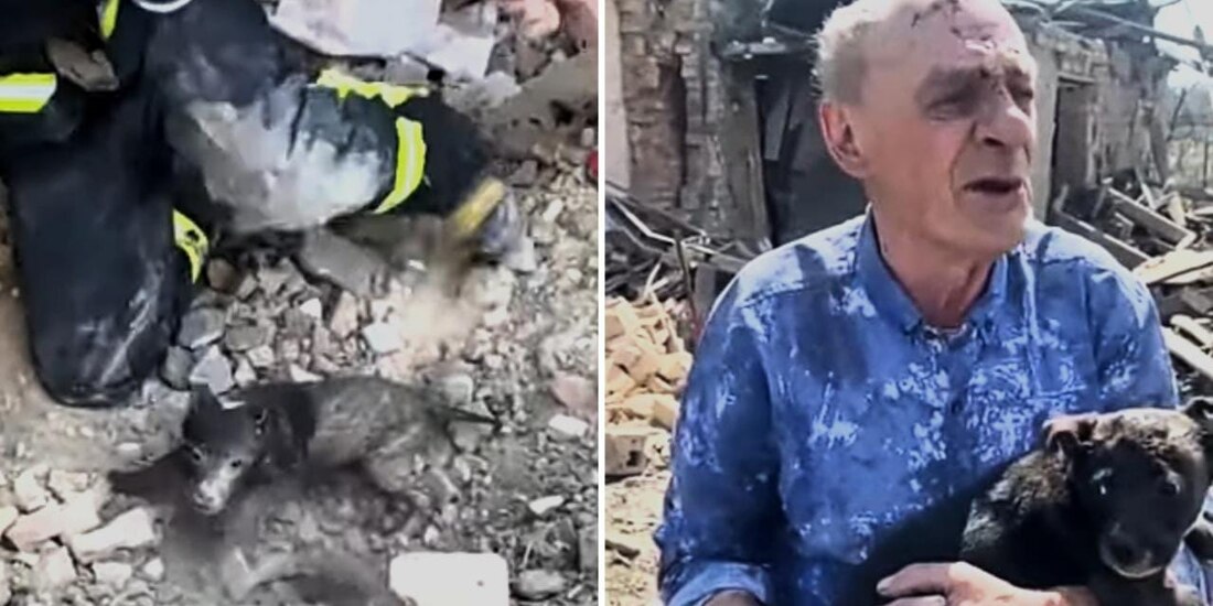 Tras haber sido rescatado el lomito se reunió de nuevo con su dueño, una persona de la tercera edad.