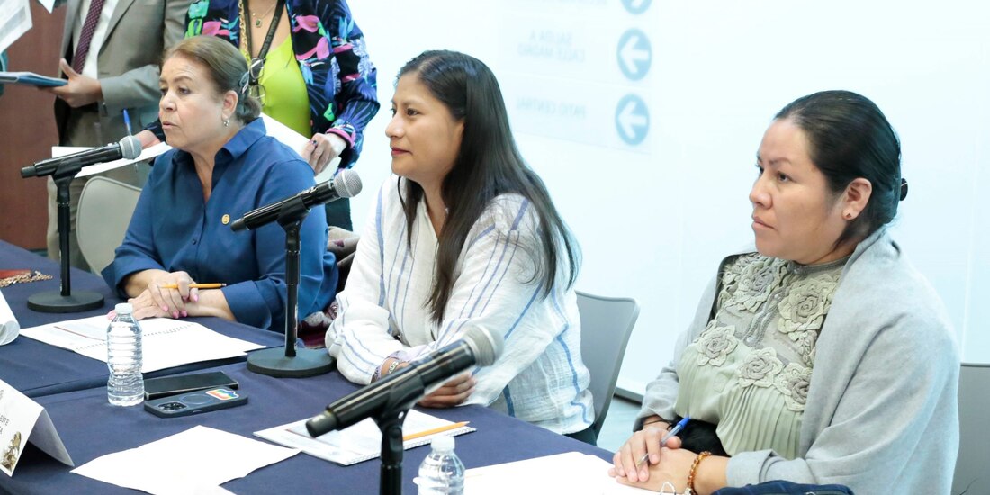 Comisiones unidas de Gobernación y de Derechos Humanos del Senado