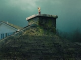 The Last House