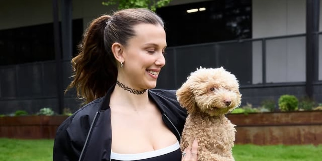 Millie Bobby Brown le da a sus perros los regalos de sus fans para que los muerdan