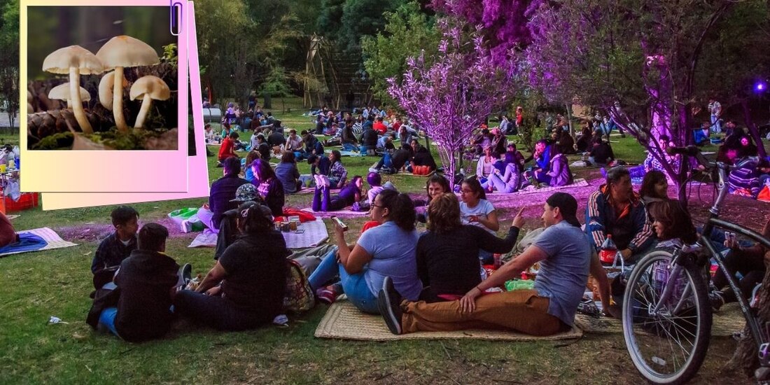 Ya casi es el picnic nocturno de Chapultepec.