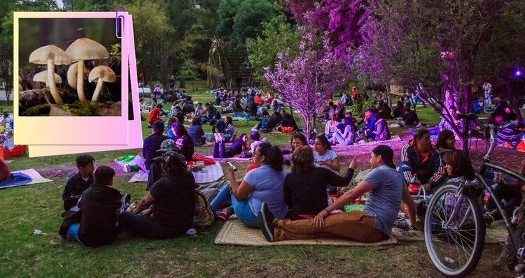 Ya casi es el picnic nocturno de Chapultepec.