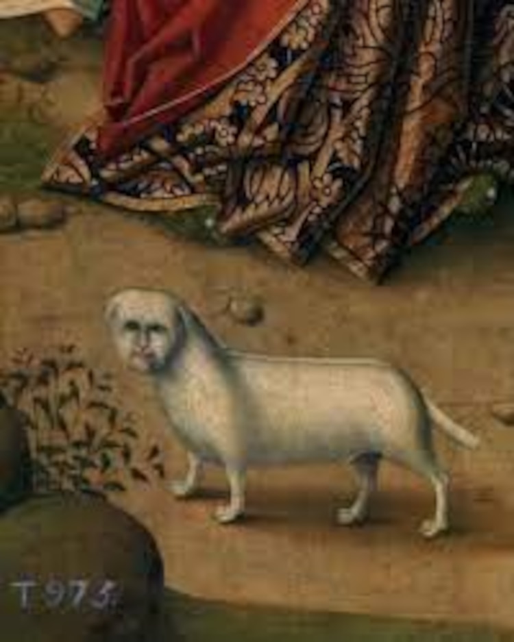 Perros pintados en la Edad Media