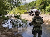 Autoridades federales desmantelan tres laboratorios clandestinos en Guerrero, informa SSPC.
