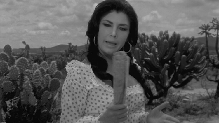 "La Tigresa" también fue diva del cine mexicano.