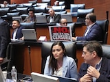 LEGISLADORES de oposición se pronuncian sobre la normativa, ayer