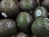 Exportaciones de aguacate peligran ante actos de inseguridad en Michoacán