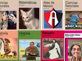 Portadas con las que ilustradores protestan a la con convocatoria sin paga de la SEP