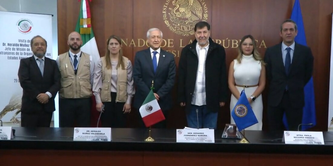 Observadores de la OEA en la Cámara Alta.
