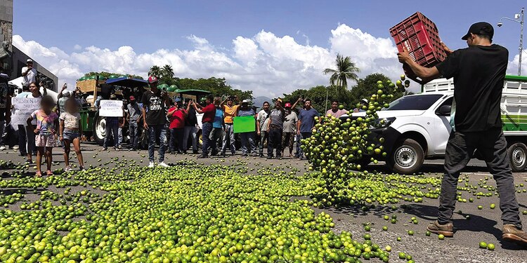 La asosiaicón de Citricultores del Valle de Apatzingán, en una manifestación la semana pasada, en la que arrojaron limones a las calles como protesta.