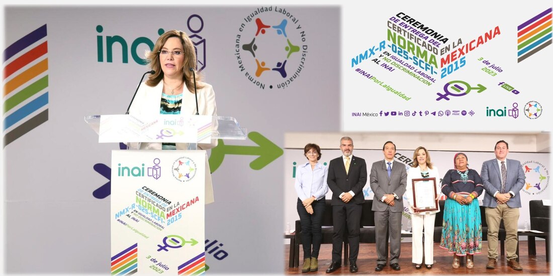 Blanca Lilia Ibarra Cadena.