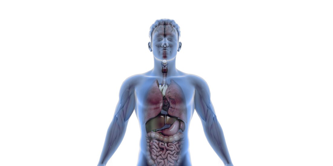 Ningún país, exento del Síndrome Guillain-Barré