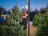 Corta tú mismo tu árbol de Navidad.