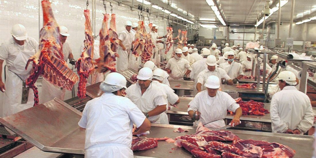 Carne de res, importaciones crecen.