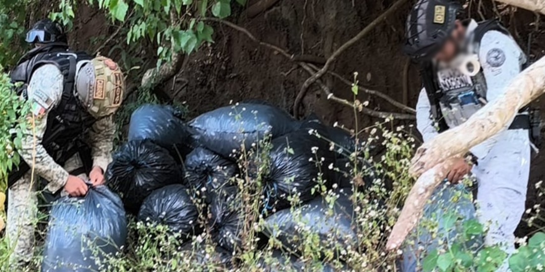 Acción contra las drogas en Guerrero.