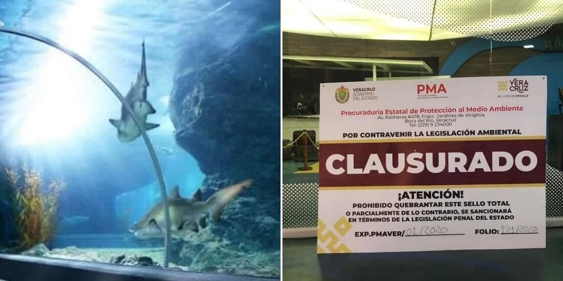 En 2021 tuvo una orden de inspección debido a la alteración del bienestar animal