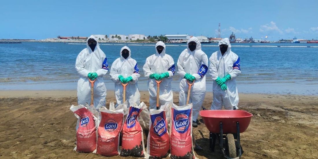 Acciones del Grupo Interinstitucional en el litoral del Golfo de México.