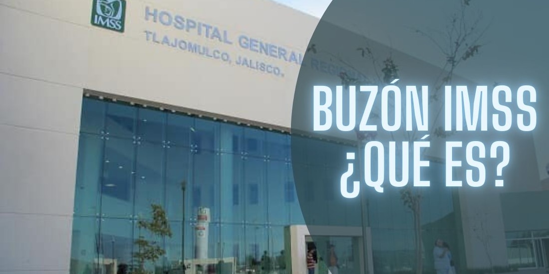 Así puedes activar el Buzón IMSS.