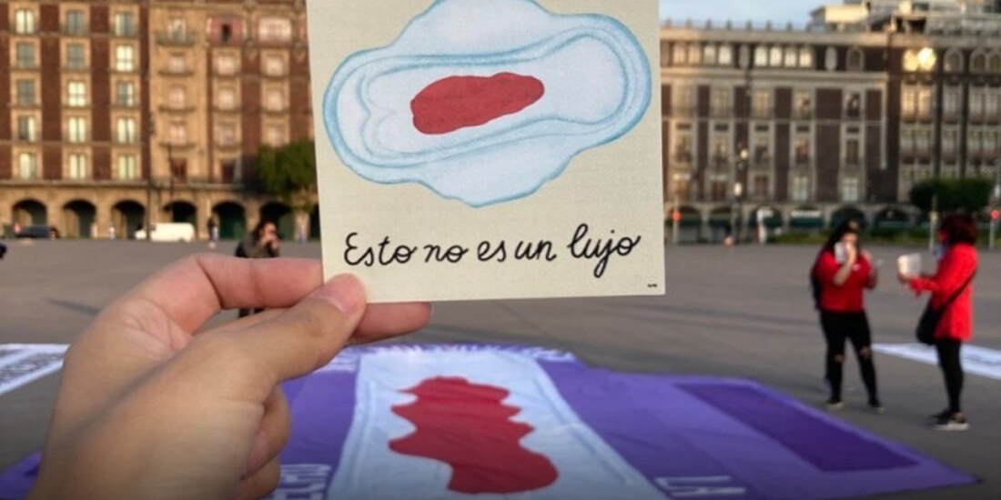 Integrantes del PT lamentan falta de atención a afecciones por ciclo de la menstruación.