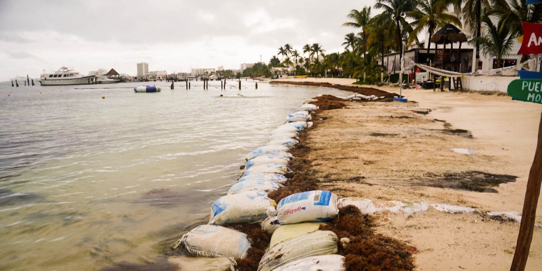 Quintana Roo activa Consejo Estatal de Protección Civil ante huracán Beryl; dan seguimiento y contemplan posibles afectaciones.