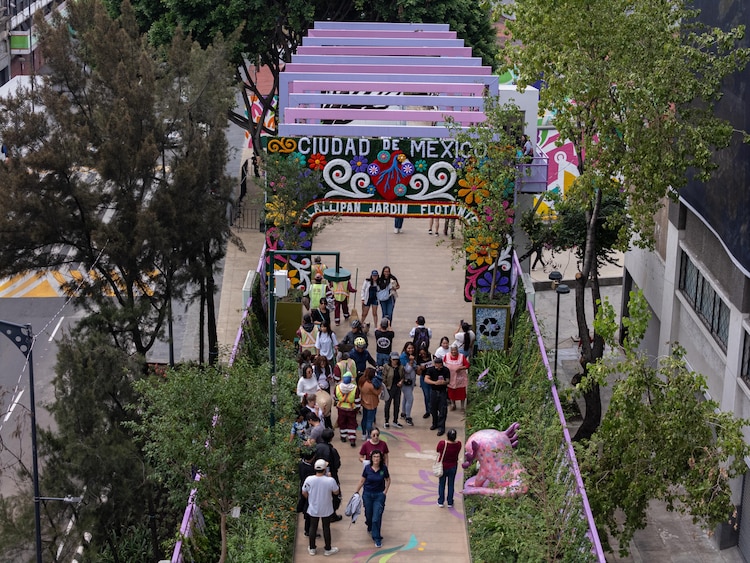 Visitantes al jardín flotante de Tlalpan.