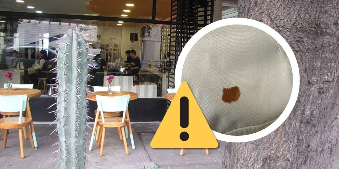 ¡Cuidado! Así es la estafa de la "mancha en la ropa".