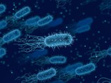 Foto ilustrativa de una bacteria.