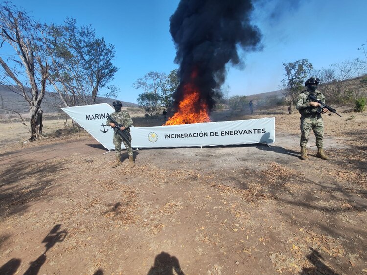 Destruyeron metanfetamina, marihuana y diversos artefactos relacionados con el narcotráfico.