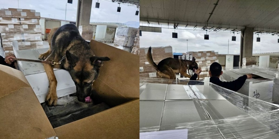 Decomisan más de una tonelada de metanfetamina