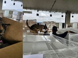 Decomisan más de una tonelada de metanfetamina
