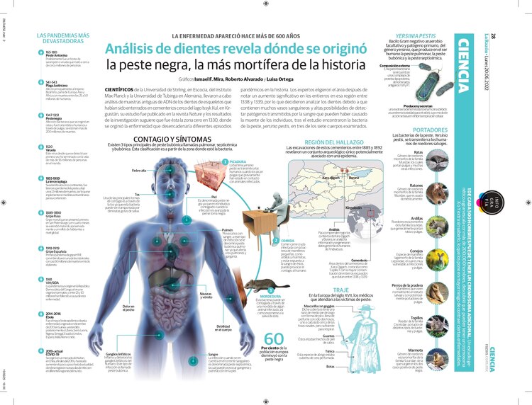Análisis de dientes revela dónde se originó la peste negra, la más mortífera de la historia