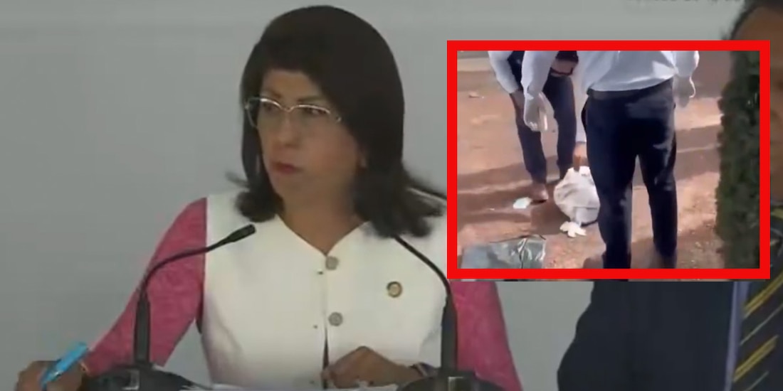 Senadora de Morena admite que ordenó matar a 10 mil perros en Tecámac