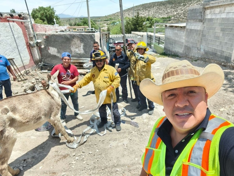 Rescate de una burra en Saltillo