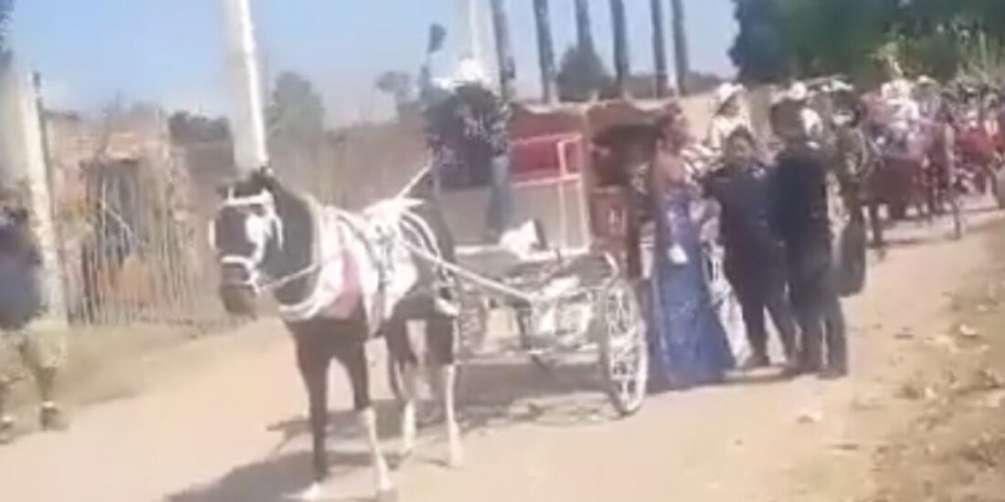 Condena Conapred agresiones a persona trans en SLP